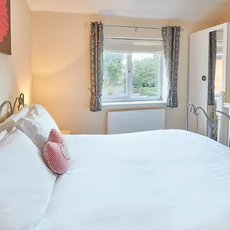 Host & - The Limes *